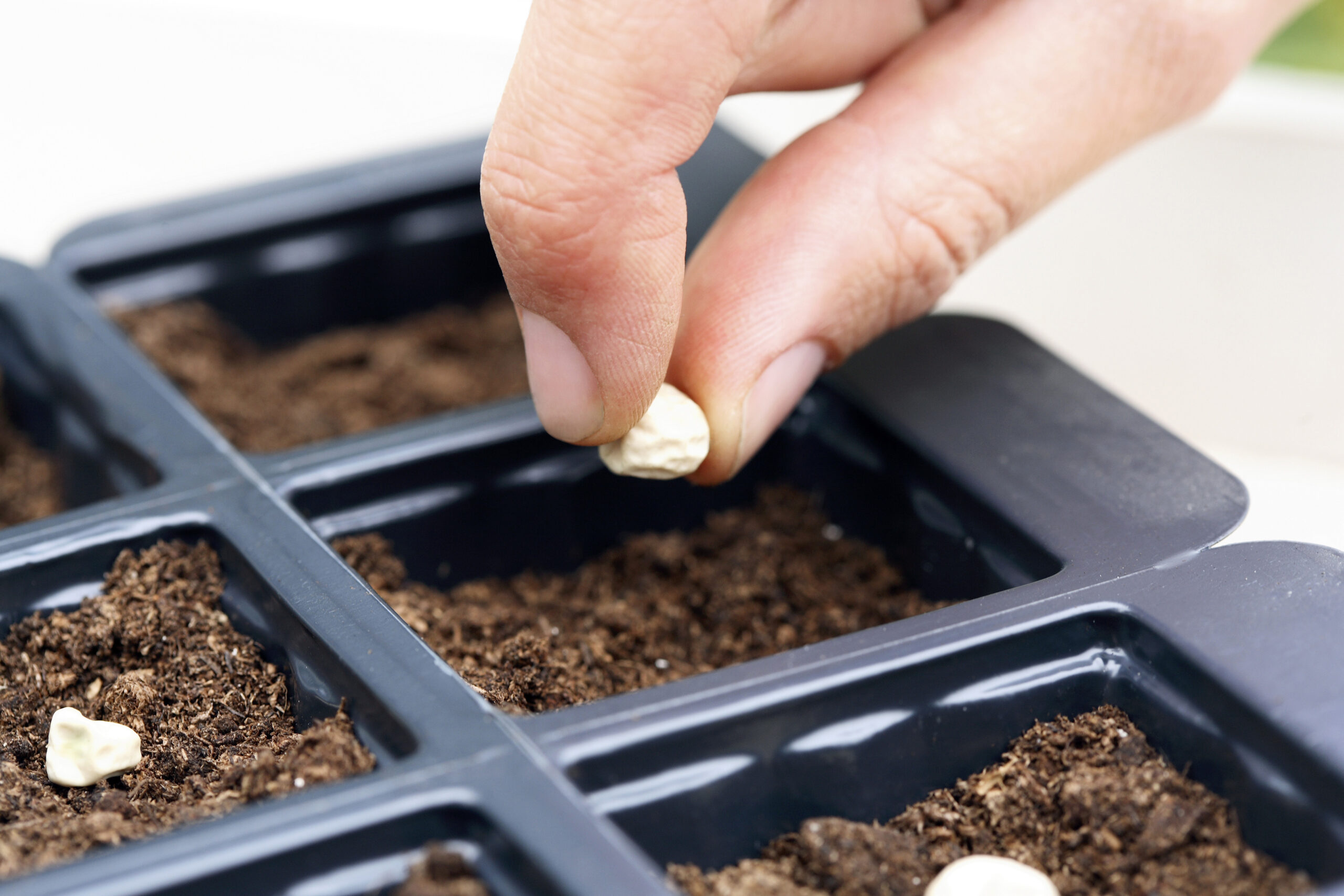 Seed Stage Marketing: What Areas to Focus on During Initial Growth Stages